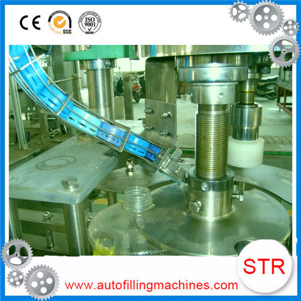 STRPACK China Supplier Professional Edible Cooking Oil Filling Machine in Austria