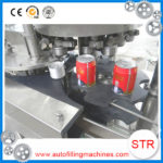 STRPACK Qualified Low Price Pure Water Filling Machine And Sealing Machine in France