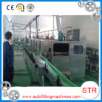 Automatic filling water packing machine in Palestine